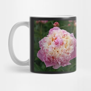 Vanilla & Candy Floss Mug